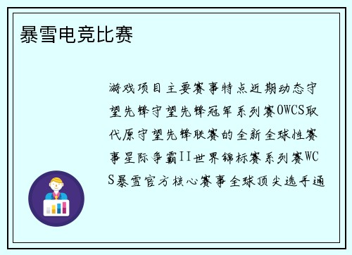 暴雪电竞比赛